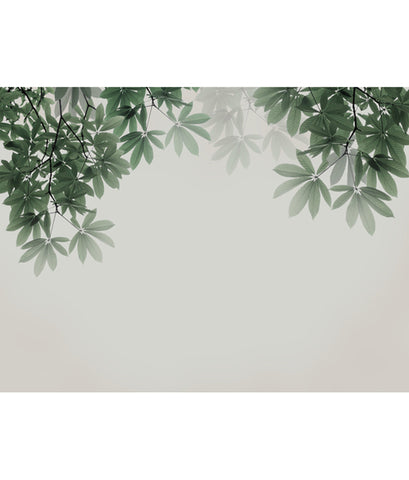 Plant Wall Murals products 40