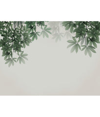 Plant Wall Murals products 40
