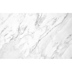 Plant Wall Murals products 50