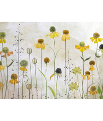 FLOWERS WALL MURALS Products 55