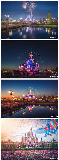 Disney products  14