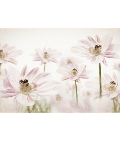FLOWERS WALL MURALS Products 41