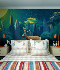 KID WALL MURALS products 20
