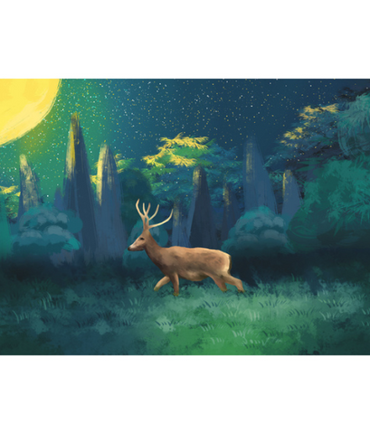 KID WALL MURALS products 20