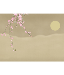 new pic( china) Products 19
